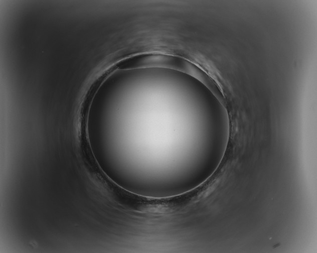 X0000088660344200705251527