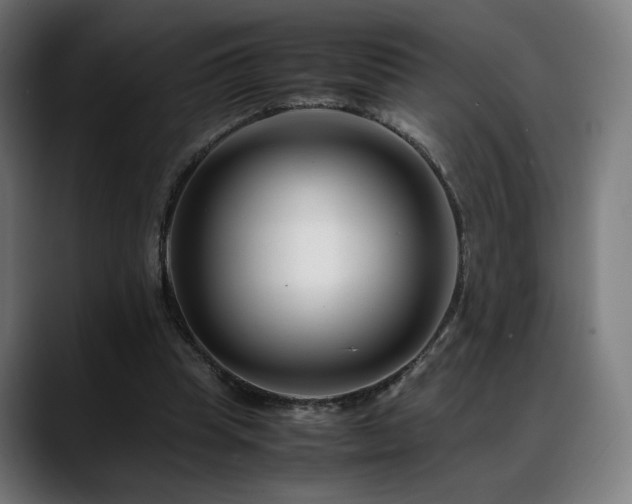 X0000088660345200705251527