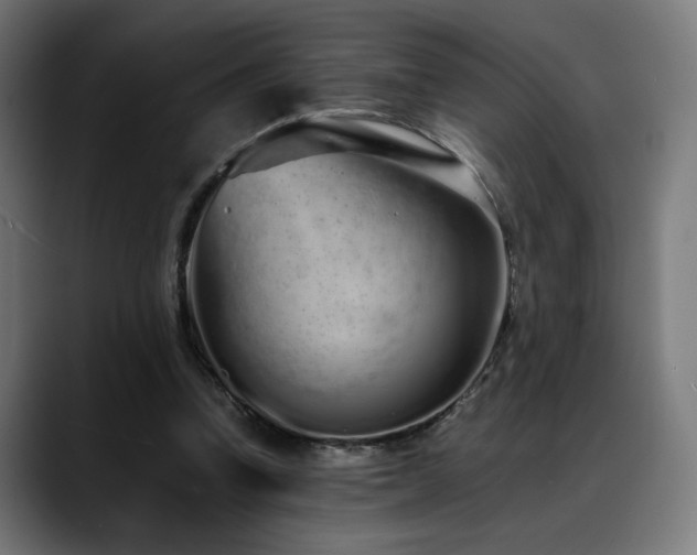 X0000088660346200705251527