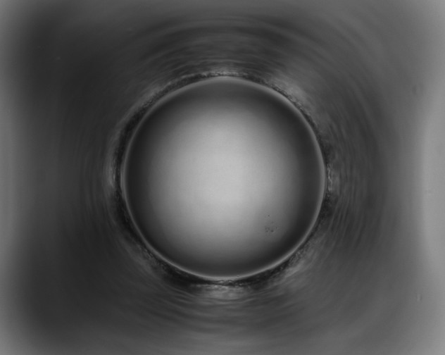 X0000088660347200705251527