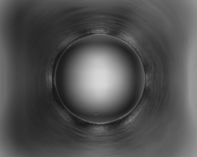 X0000088660349200705251527