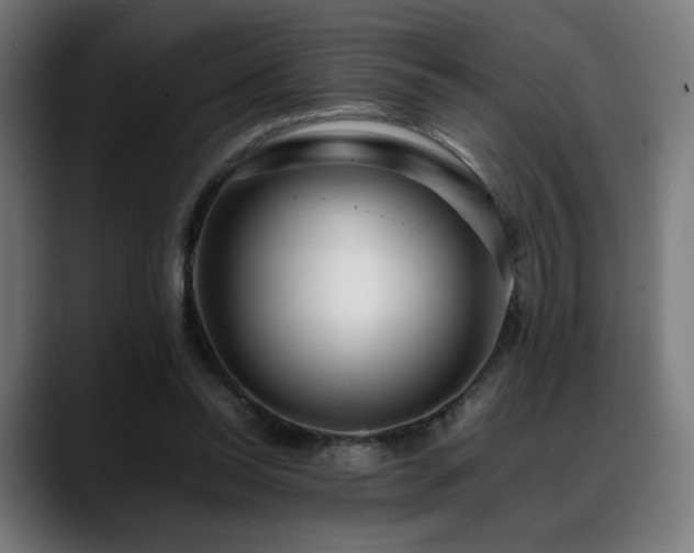 X0000088660350200705251527