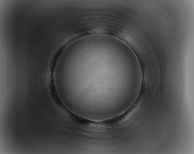 X0000088660351200705251527