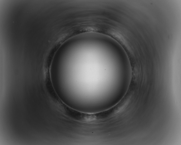 X0000088660355200705251527