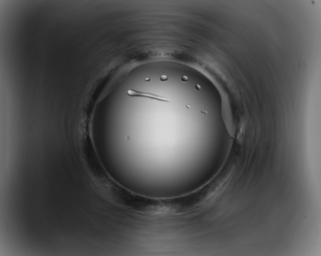 X0000088660356200705251527