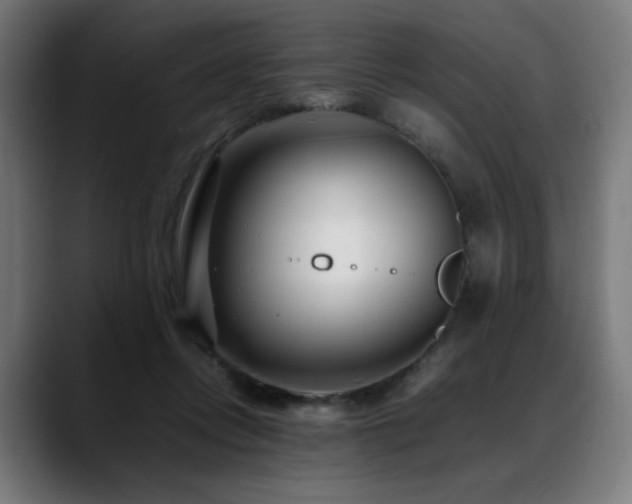 X0000088660358200705251527