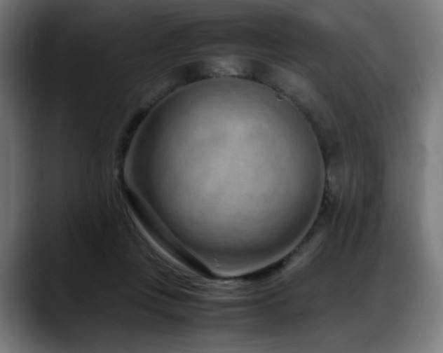 X0000088660359200705251527