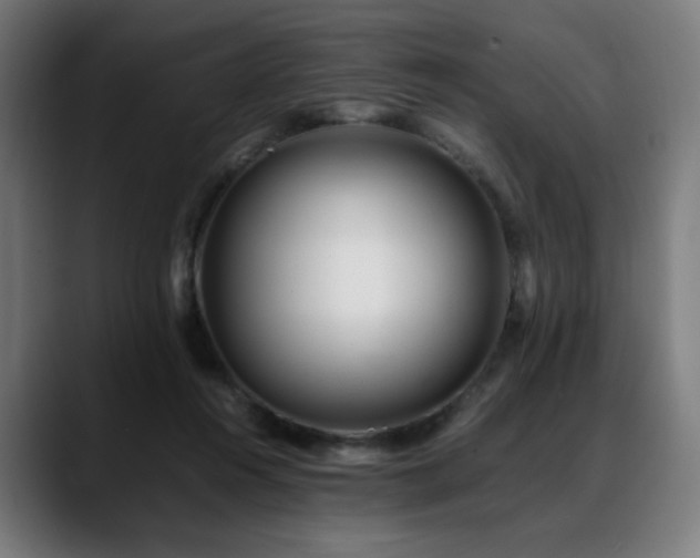 X0000088660360200705251527