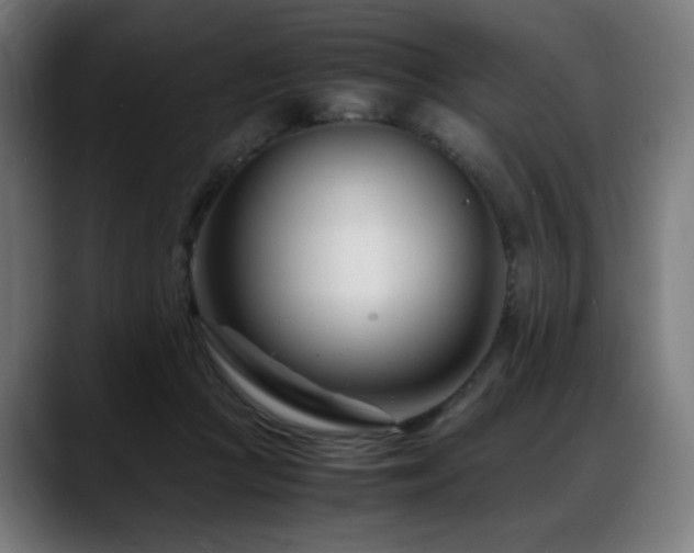 X0000088660361200705251527