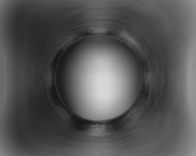 X0000088660362200705251527