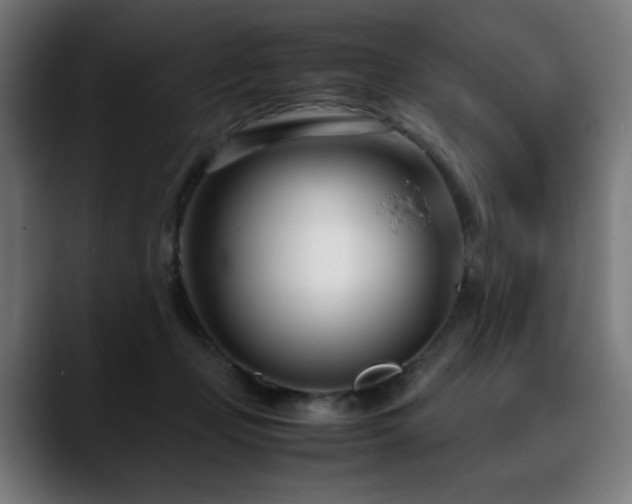 X0000088660365200705251527