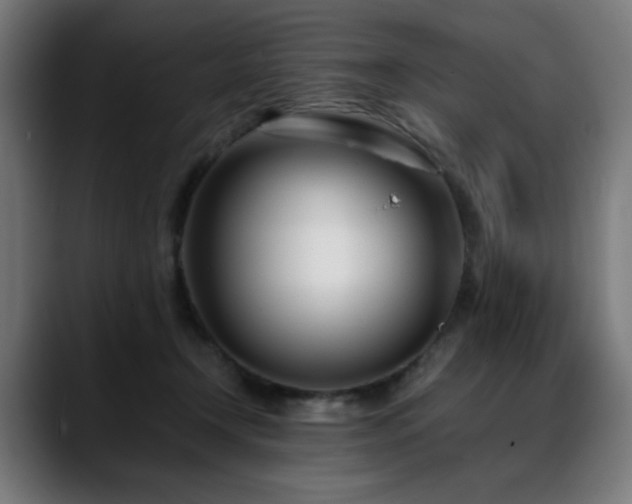 X0000088660366200705251527