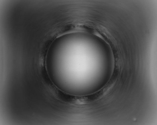 X0000088660368200705251527