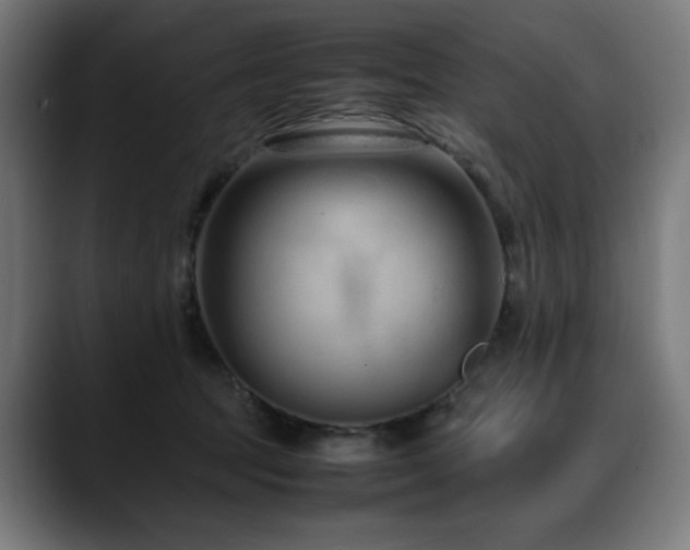 X0000088660369200705251527