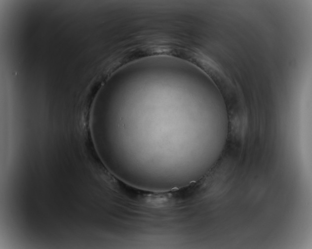 X0000088660373200705251527