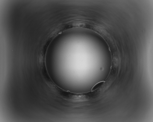 X0000088660375200705251527