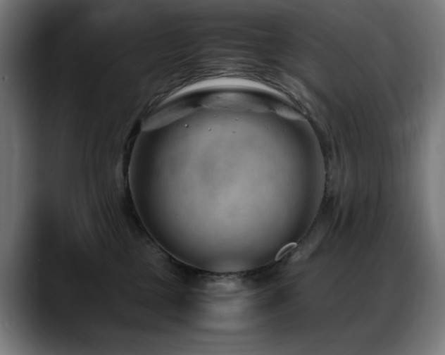 X0000088660377200705251527