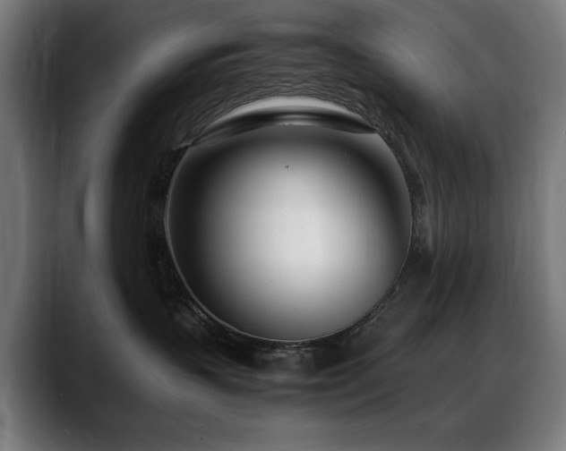 X0000088660383200705251527