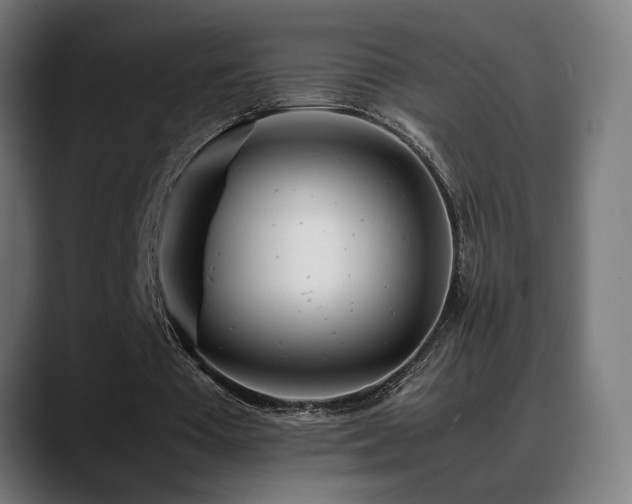 X0000088660385200705251526