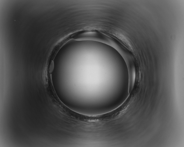 X0000088660388200705251526