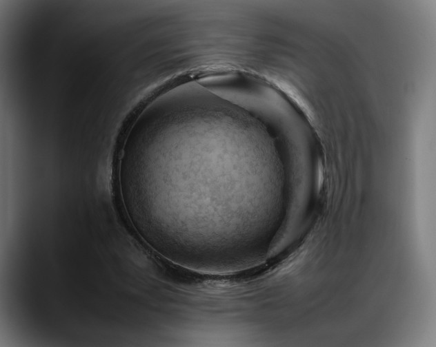 X0000088660391200705251526