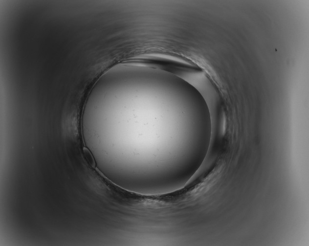 X0000088660393200705251526