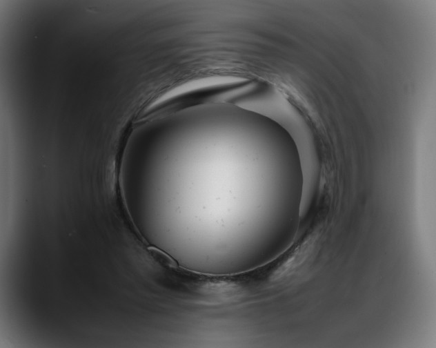 X0000088660397200705251526