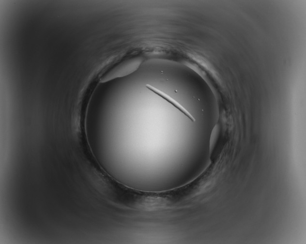 X0000088660399200705251526