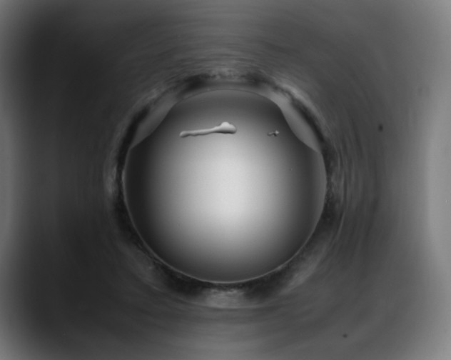 X0000088660403200705251526