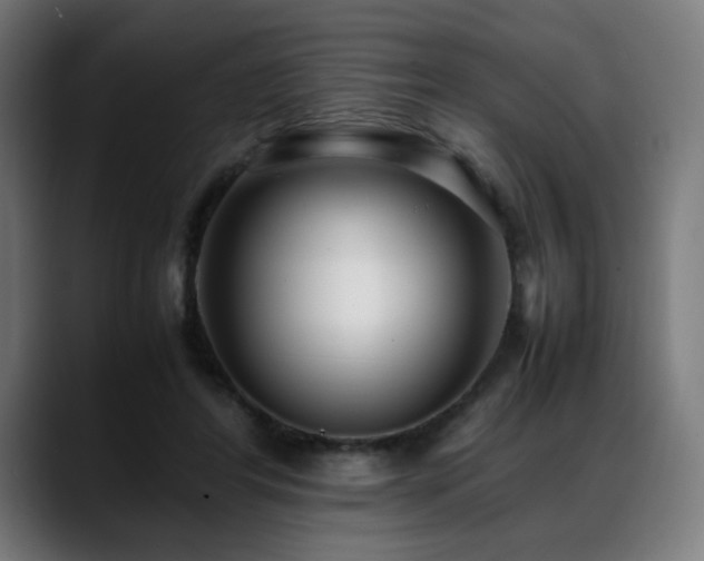 X0000088660404200705251526