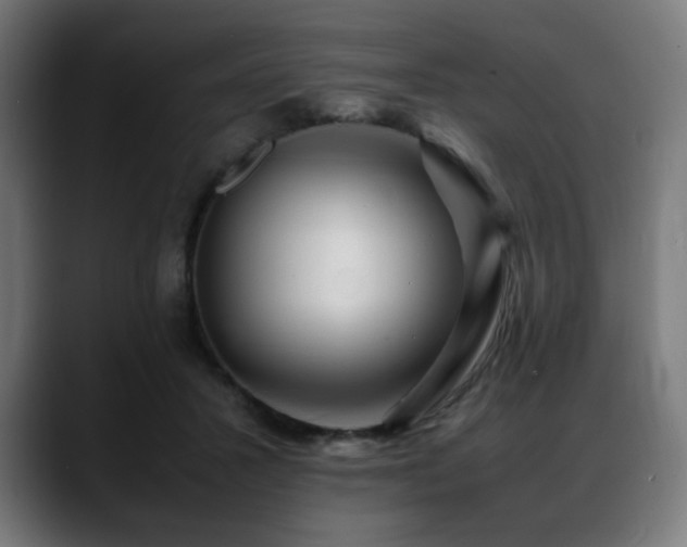 X0000088660407200705251526