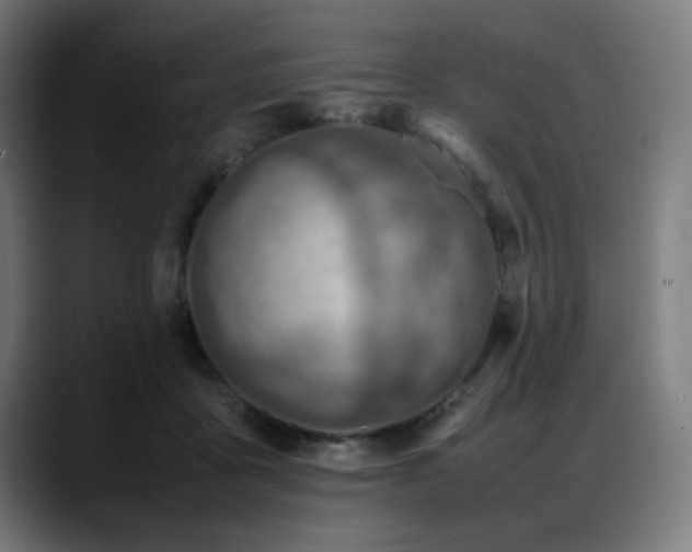 X0000088660411200705251526