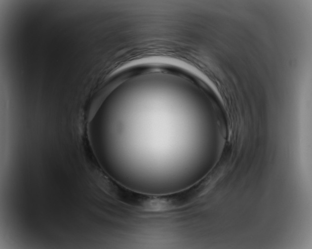 X0000088660413200705251526