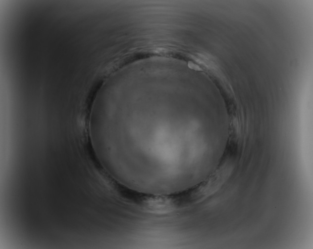 X0000088660415200705251526