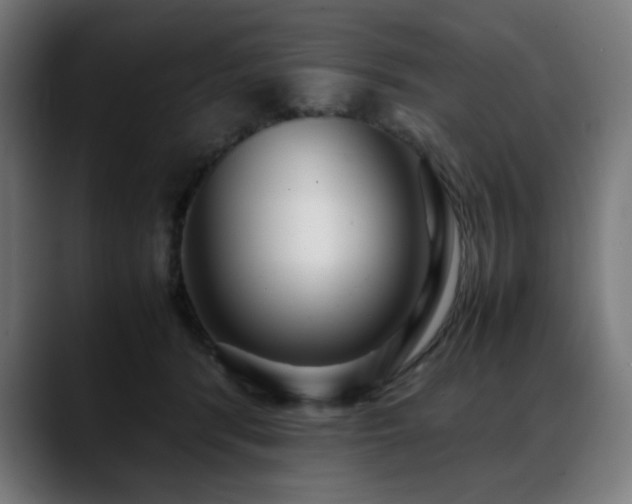 X0000088660416200705251526