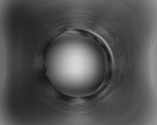 X0000088660421200705251526