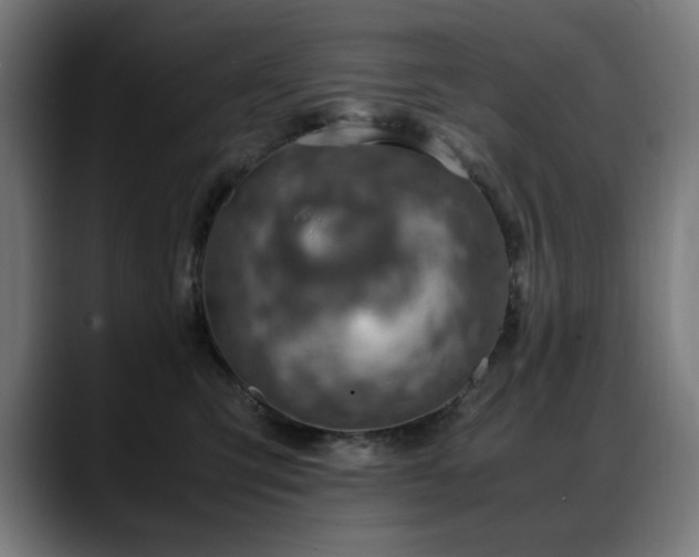 X0000088660423200705251526