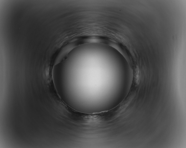 X0000088660428200705251526