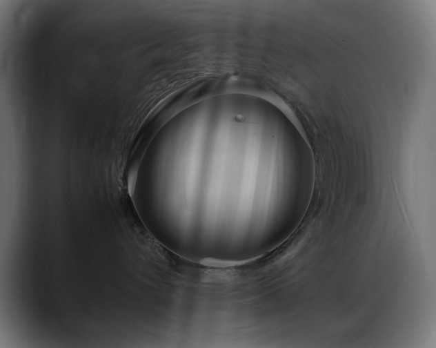 X0000088660432200705251526