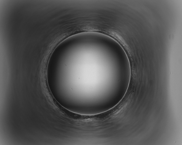 X0000088660433200705251525