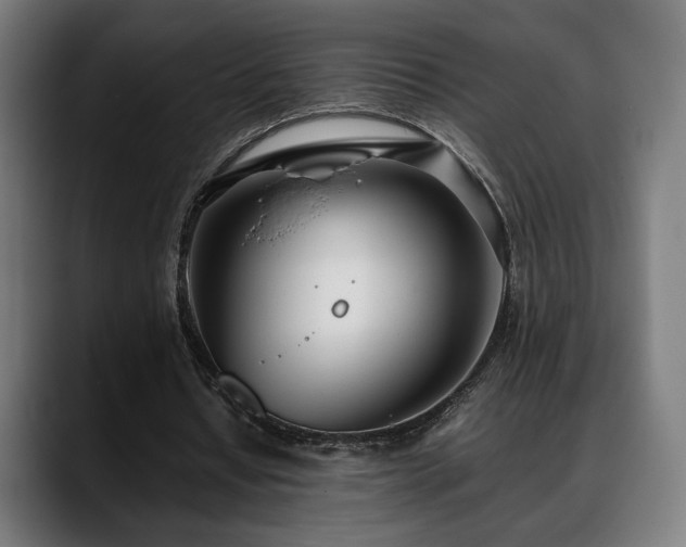 X0000088660434200705251525