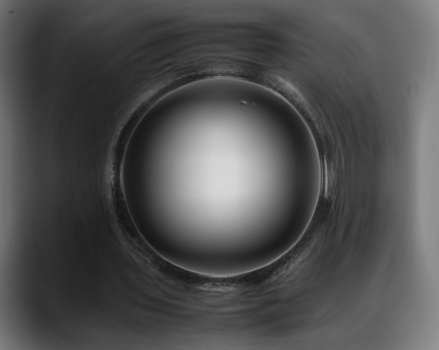 X0000088660435200705251525