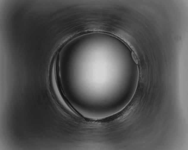 X0000088660437200705251525