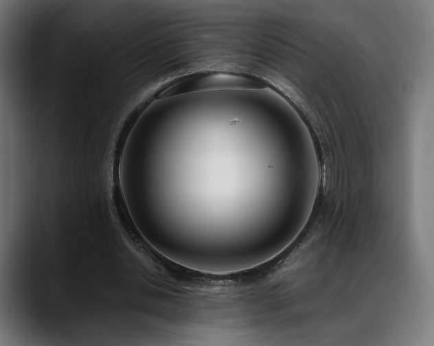 X0000088660438200705251525