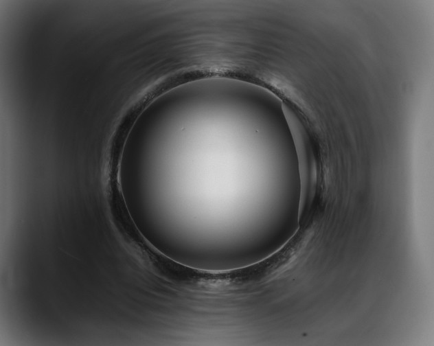 X0000088660440200705251525