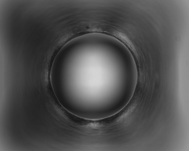 X0000088660441200705251525