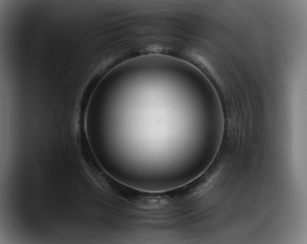 X0000088660443200705251525