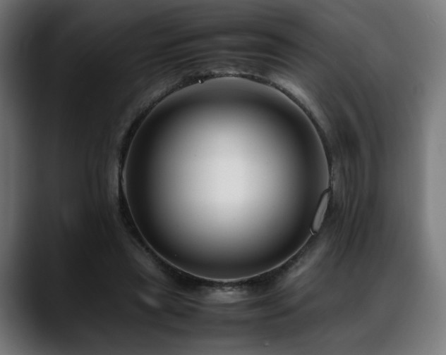 X0000088660445200705251525