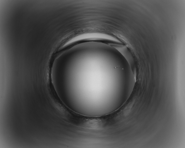 X0000088660446200705251525