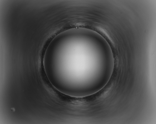 X0000088660447200705251525